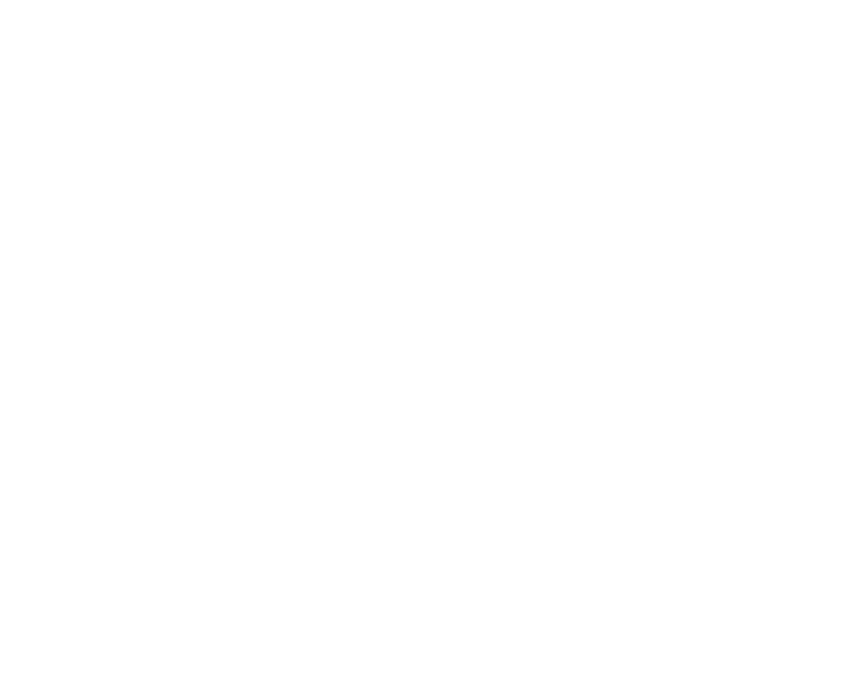 Stellumo Logo